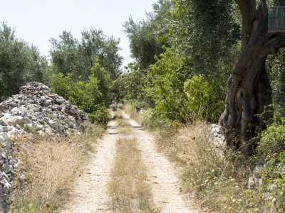 Per raggiungerla dalla statale 16 bis imbocchiamo l'uscita "Giovinazzo sud" e percorriamo la complanare lato monte. Svoltiamo quindi subito a destra in strada comunale Sant'Eustachio, tracciato parzialmente asfaltato che scavalca l'autostrada e in tre chilometri ci porta quasi a destinazione